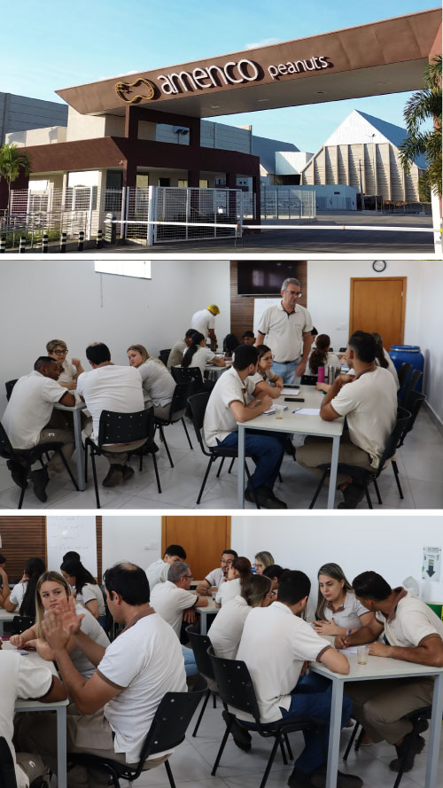 post-amenco-peanuts-implanta-Lean-Seis-Sigma